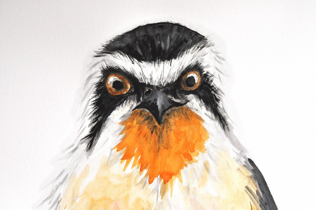 falconetcara.jpg